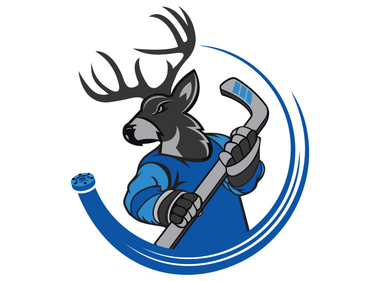 Logo Design | Red Deer Roller Hockey